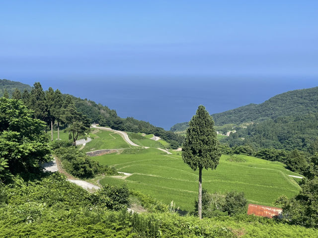 日本海側既靜土 有山有海 悠閑渡假