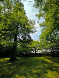 京都三千院，夏天也優美