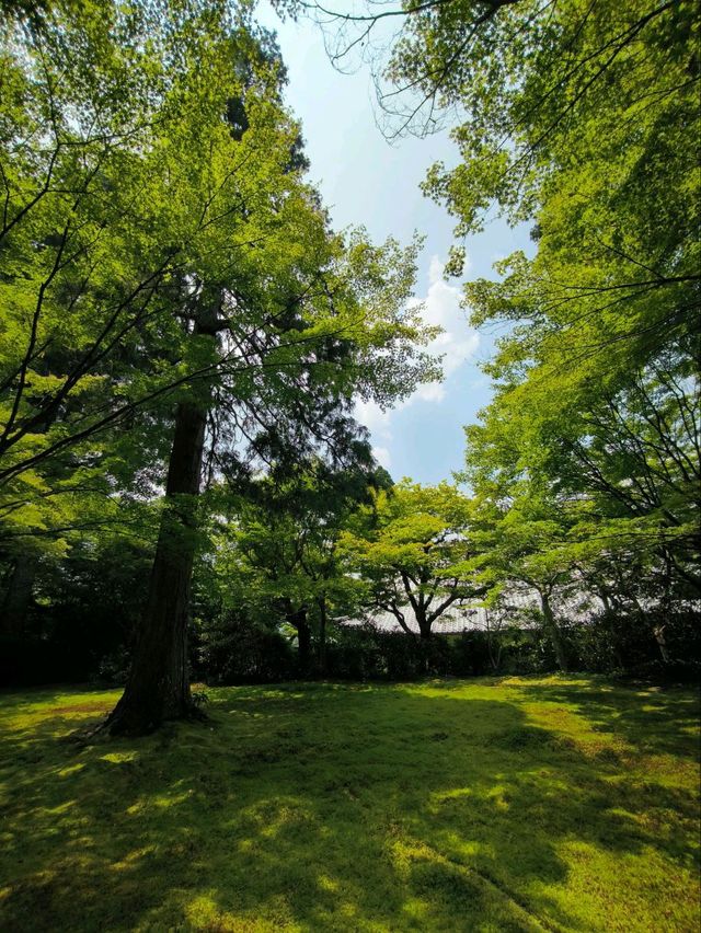 京都三千院，夏天也優美