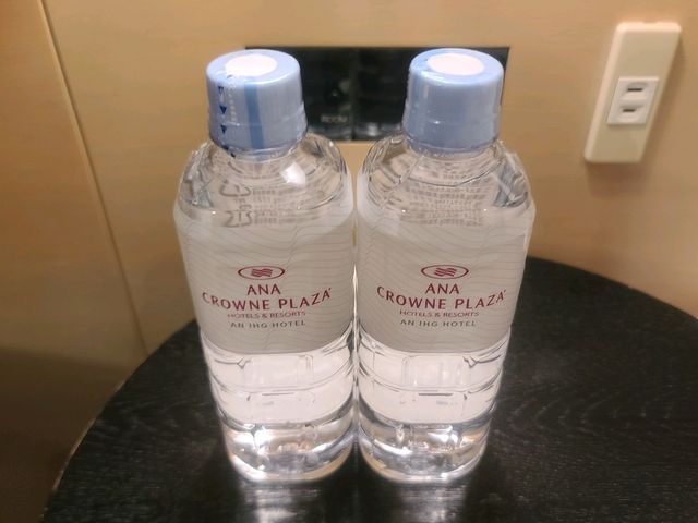 ANA 크라운 플라자 가나자와(ANA Crowne Plaza Kanazawa) 스탠다드 더블룸