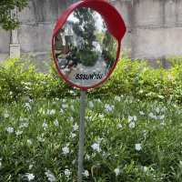 คาเฟ่เปิดใหม่ ชลบุรี