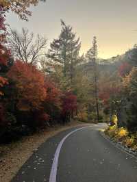리솜 포레스트 정원 산책