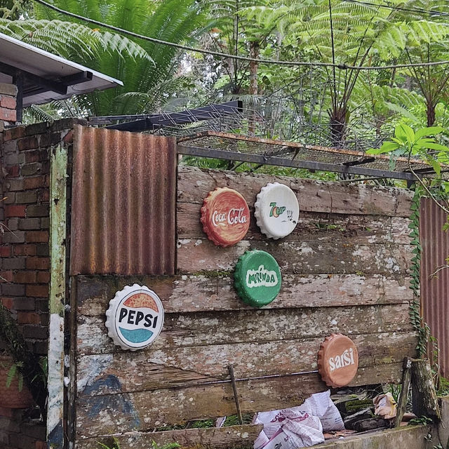 Forest Vibes & Highest-Perched Coffee – My Visit to Kopi Hutan, Penang
