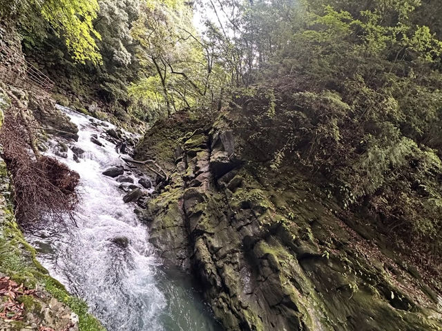 【宮崎】神々が集った洞窟🌌天安河原で心を整える神話旅