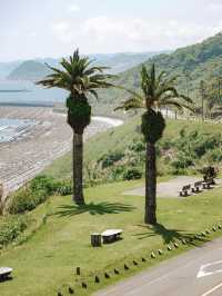 【宮崎】南国絶景を満喫🌴日南海岸ドライブで癒しの旅🚗