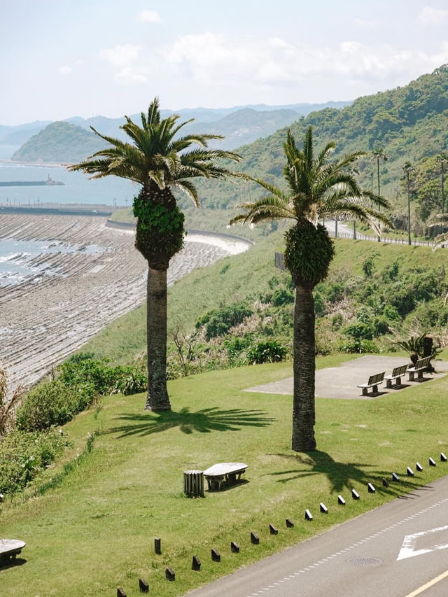 【宮崎】南国絶景を満喫🌴日南海岸ドライブで癒しの旅🚗