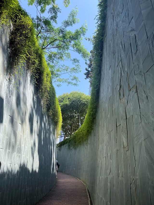 From Shadows to Skylight, Fort Canning’s Tree Tunnel Magic