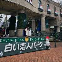 Sapporo in a Day: Culture, Cuisine & City Highlights