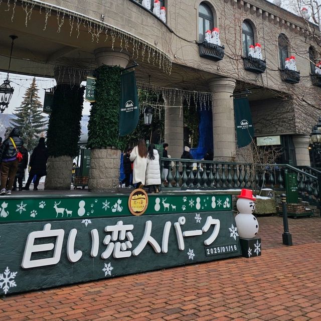 Sapporo in a Day: Culture, Cuisine & City Highlights