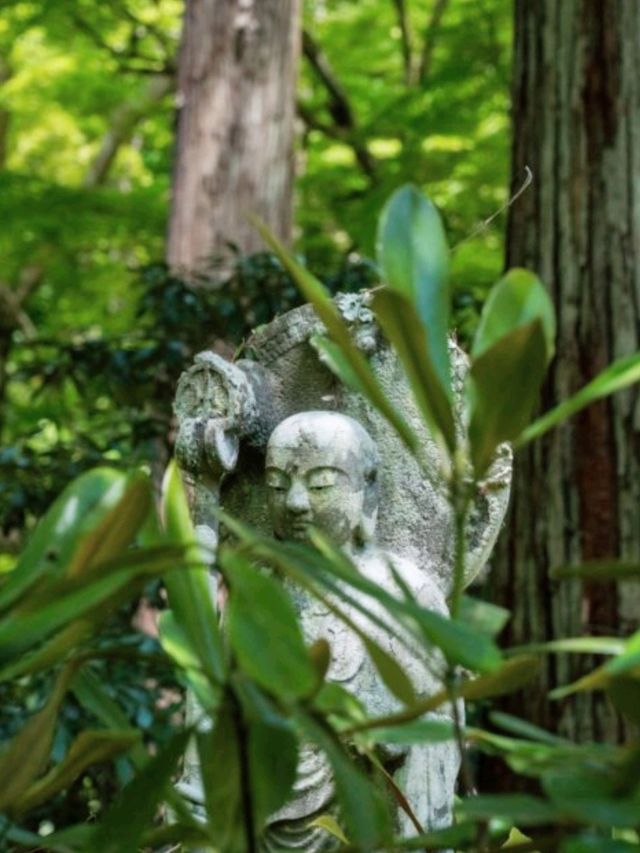 京都必去景點（八） 三千院🌳禪意之美