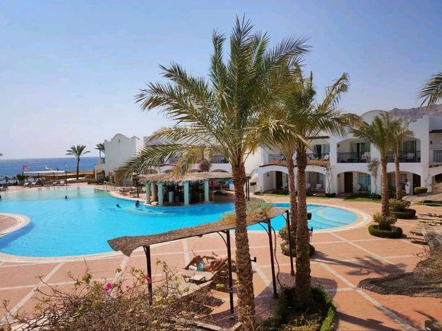 Desert Bliss Meets Beach Chill at Jaz Dahabeya