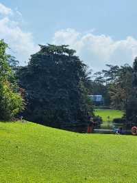 Botanic Garden in Singapore