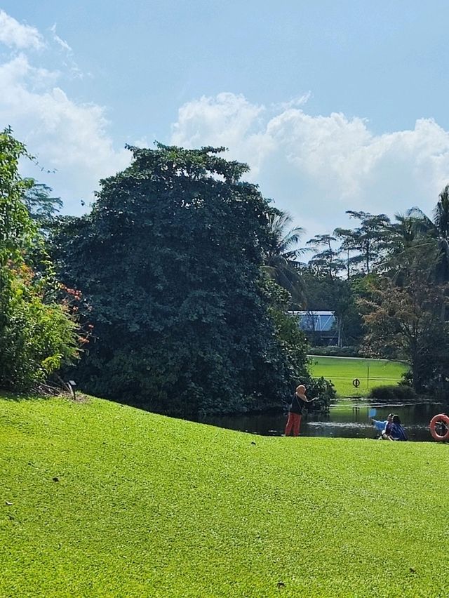 Botanic Garden in Singapore