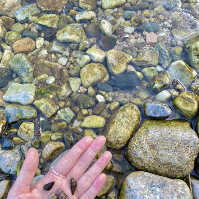 산청의 여름, 맑은 물에 발 담그고 힐링하기 🍃