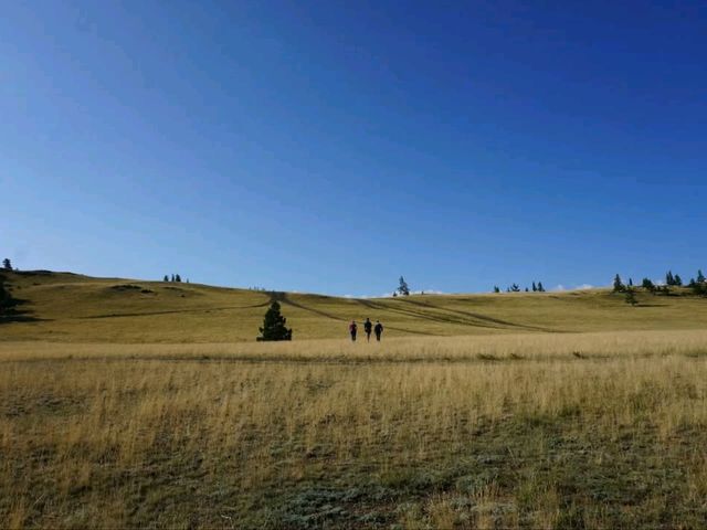 Mountains, Meadows & Endless Views. Strolling the Chuysky Trakt