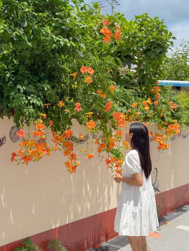 (실시간) 내가 조와하는 경주의 여름🌿