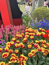 🌷 Visit Guangzhou Spring Festival 🌹✨