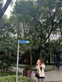 People’s park at Chengdu 🎡