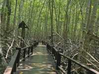 ✨"วันนี้มาชาร์จใจที่... วนอุทยานปราณบุรี 🌳