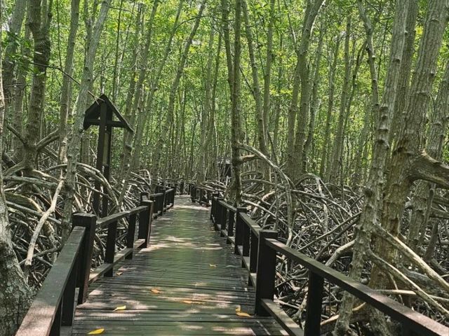 ✨"วันนี้มาชาร์จใจที่... วนอุทยานปราณบุรี 🌳