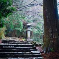🌳熊野古道🌳　大門坂