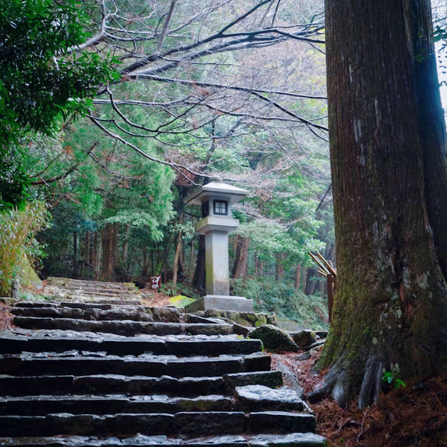 🌳熊野古道🌳　大門坂