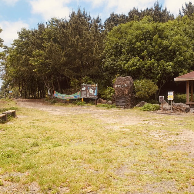 The Ultimate Vantage Point for Seongsan Ilchulbong and Udo Island