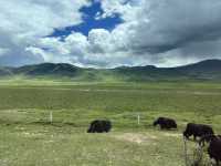  🏔️ Escape to the Last Shangri-La — Daocheng Yading (稻城亚丁)