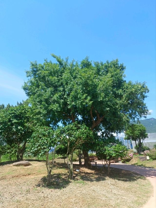 거제 식물원의 야외 공간