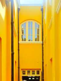 🌸 Golden Walls & Red Blossoms — A Literary Spring at Zhongshan Library