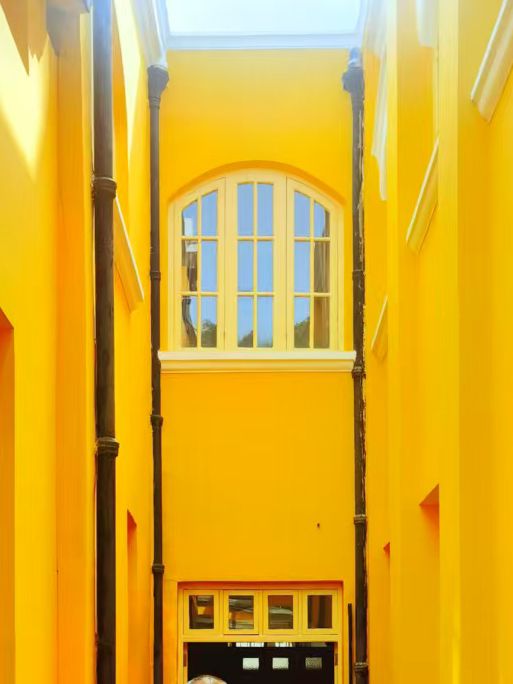 🌸 Golden Walls & Red Blossoms — A Literary Spring at Zhongshan Library