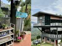 🌲 Nature’s Palette Comes Alive at Ethos Forest — Just Beyond Bentong 🌄