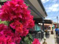 Pulau Ketam: Malaysia’s Time-Capsule Stilt Village