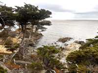 Stunning 17 Miles between Monterey and Carmel