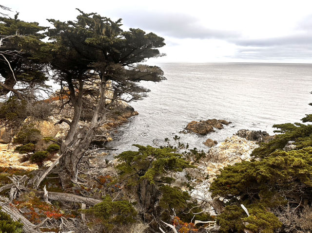 Stunning 17 Miles between Monterey and Carmel