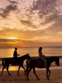Unforgettable Sunset Horseback Riding at Phuket International Horse Club 🇹🇭 