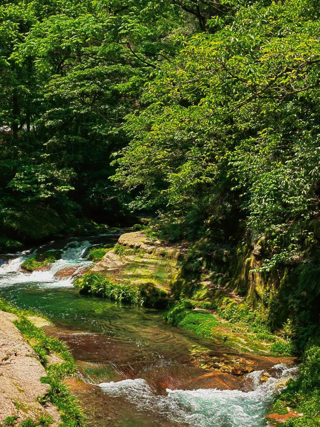 🏞️ Zhangjiajie – Real-Life Avatar Mountains for RM170/day