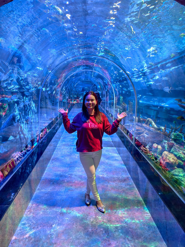 My Magical Getaway to Aquarium Paradise