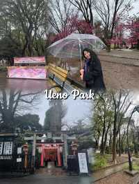 🇯🇵 Ueno Park