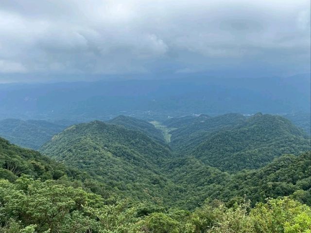 Hike Through Misty Forests