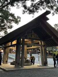 靈驗神籤與清幽木境｜北海道神宮巡禮