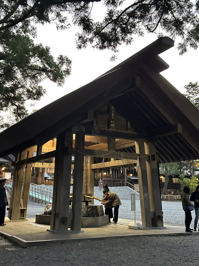 靈驗神籤與清幽木境｜北海道神宮巡禮