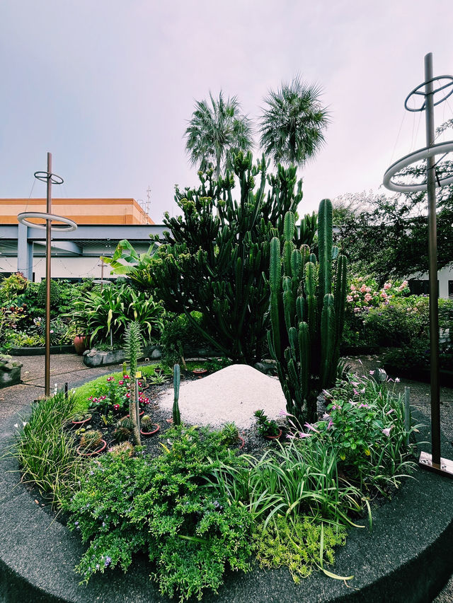 雨上がりの秘密の楽園：1 Utamaの屋上で見つけた癒しのひととき🌿