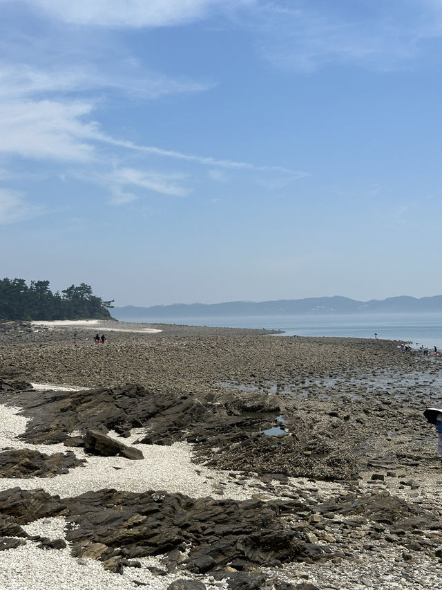 서해에서 만난 한국판 몰디브 🏝️⛱️🫧🤍