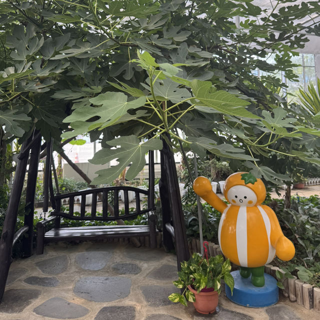 “참외의 모든 것을 체험할 수 있는, 성주 참외 체험형 테마공원