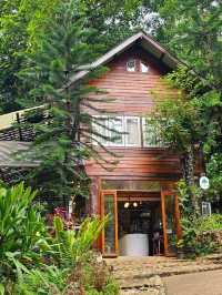 คาเฟ่ สัมผัสธรรมชาติ ที่ปางไฮ