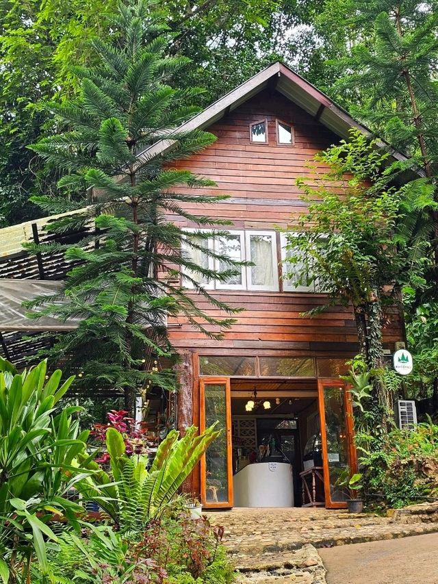 คาเฟ่ สัมผัสธรรมชาติ ที่ปางไฮ