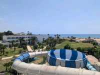 Golden Sands and Gentle Waves of Al Hammamat Beach 