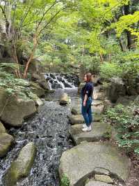 🇯🇵日本✈️名古屋池泉式庭園德川園