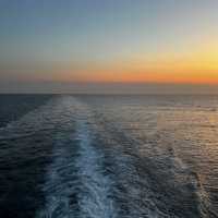 Sun, Citrus, and Gothic Grandeur – My MSC Splendida Stop in Valencia, Spain